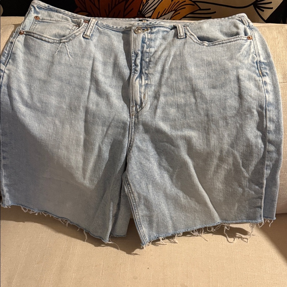 American Eagle Outfitters Light Blue Jean Shorts